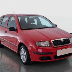 Skoda Fabia 1.4 16V / 19953873