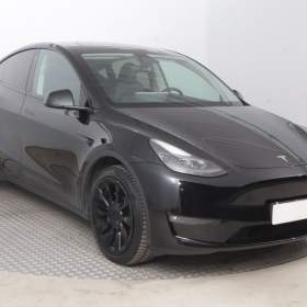 Tesla Model Y Long Range AWD 79kWh / 19954161