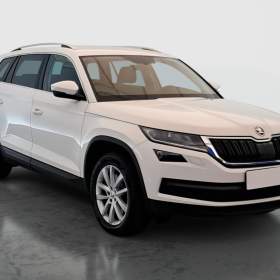 Skoda Kodiaq 2.0 TDI 4x4 / 19954740