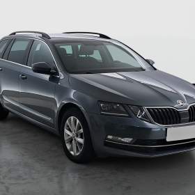 Skoda Octavia 2.0 TDI 4x4 / 19955156
