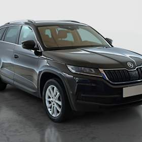 Skoda Kodiaq 2.0 TDI 4x4 / 19955183