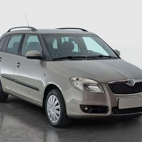 Skoda Fabia 1.4 16V / 19955810