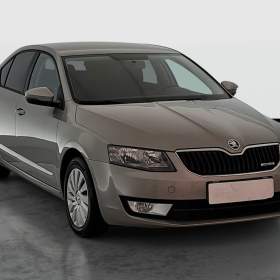Skoda Octavia 1.6 TDI / 19955858