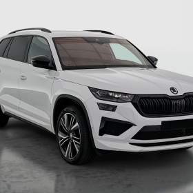 Skoda Kodiaq RS 2.0 TSI / 19956903