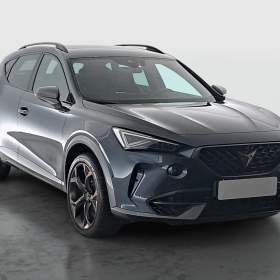 Cupra Formentor 2.0 TSI VZ 4Drive / 19957498