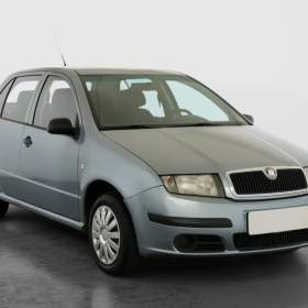 Skoda Fabia 1.2 / 19959562