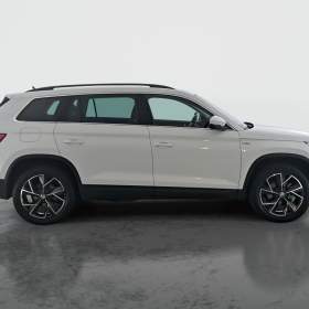 Foto inzerátu Skoda Kodiaq 2.0 TDI 4x4