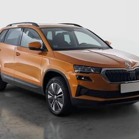 Skoda Karoq 2.0 TDI / 19964008