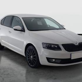 Foto inzerátu Skoda Octavia 2.0 TDI 4x4