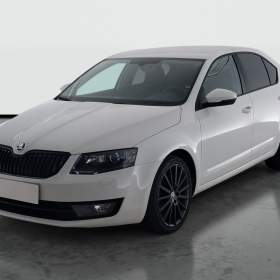 Foto inzerátu Skoda Octavia 2.0 TDI 4x4