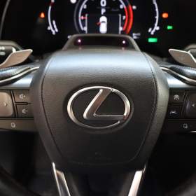 Foto inzerátu Lexus RX 500h