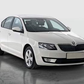 Skoda Octavia 2.0 TDI 4x4 / 19965319