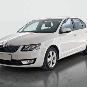 Foto inzerátu Skoda Octavia 2.0 TDI 4x4