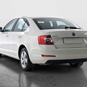 Foto inzerátu Skoda Octavia 2.0 TDI 4x4
