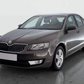Foto inzerátu Skoda Octavia 1.6 TDI