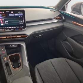Foto inzerátu Cupra Terramar 2.0 TSI 4Drive