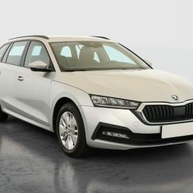 Fotka k inzerátu Skoda Octavia 2.0 TDI / 19933296