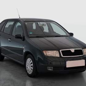 Fotka k inzerátu Skoda Fabia 1.4 16V / 19966082