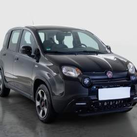 Fiat Panda 1.0 FireFly / 19966550