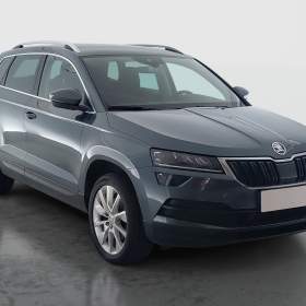 Skoda Karoq 1.6 TDI / 19966981