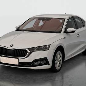 Foto inzerátu Skoda Octavia 2.0 TDI
