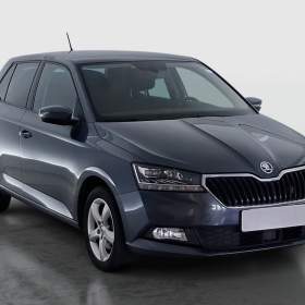 Fotka k inzerátu Skoda Fabia 1.0 TSI / 19967364