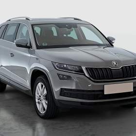 Skoda Kodiaq 2.0 TDI 4x4 / 19968961