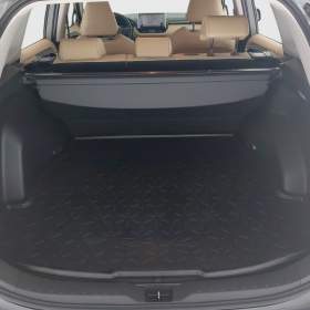Foto inzerátu Toyota RAV 4 2.5 Hybrid