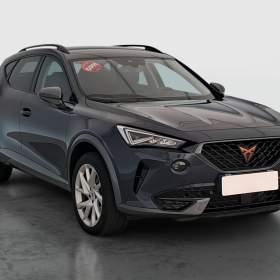 Foto inzerátu Cupra Formentor 2.0 TSI 4Drive