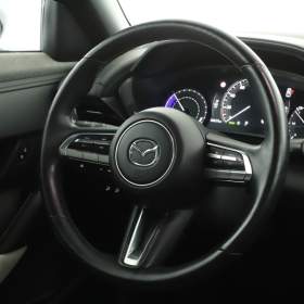 Foto inzerátu Mazda MX-30 e-Skyactiv