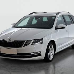Foto inzerátu Skoda Octavia 2.0 TDI 4x4