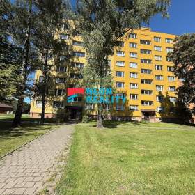 Prodej bytu 1+1 v Karviné na ulici Slovenská, TOP lokalita!  / 19543823