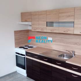 Pronájem bytu 1+1 Ostrava Fifejdy, ul. Ahepjukova, po rekonstrukci / 19620388