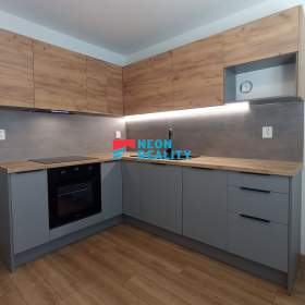 Krásný byt 1+1 po kompletní rekonstrukci, ul. Mas. třída, Orlová- Lutyně / 19950746