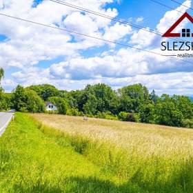 Pozemek 8.390 m² s možností výstavby RD, výhled na Beskydy, Český Těšín, část Mistřovice / 19499437