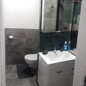 Podnájem, Byty 2+kk, 37 m² -  Karviná -  Hranice / 19606331