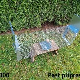 Fotka k inzerátu Past na kuny, potkany, lasičky a kočky -  oboustranná  / 19662427