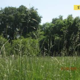 Prodej, Pozemky pro bydlení, 895 m2 / 18034762