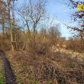 Prodej, pozemek, 811 m2 / 18895671