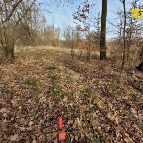 Foto inzerátu Prodej, pozemek, 811 m2