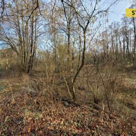 Prodej, pozemek, 1284 m2 / 18895672