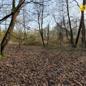 Foto inzerátu Prodej, pozemek, 1284 m2