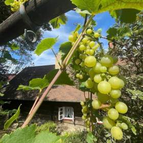 Foto inzerátu Prodej, chalupa, 170 m2