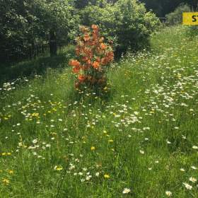 Foto inzerátu Prodej, chalupa, 170 m2