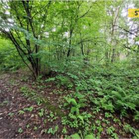 Foto inzerátu Prodej, Zahrady, 541 m2