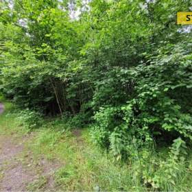 Foto inzerátu Prodej, Zahrady, 541 m2