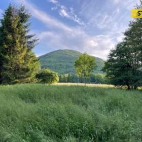 Foto inzerátu Prodej, Louky, rybníky, 7467 m2