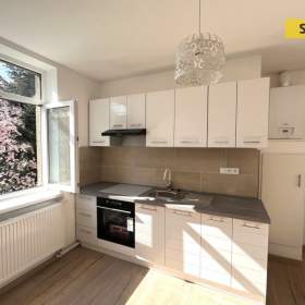 Prodej, byt 1+1, 54 m2 / 19255384