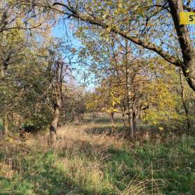 Foto inzerátu Prodej