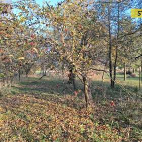 Foto inzerátu Prodej